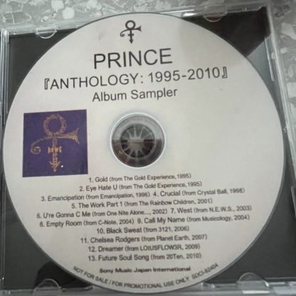 Prince : 1995–2010